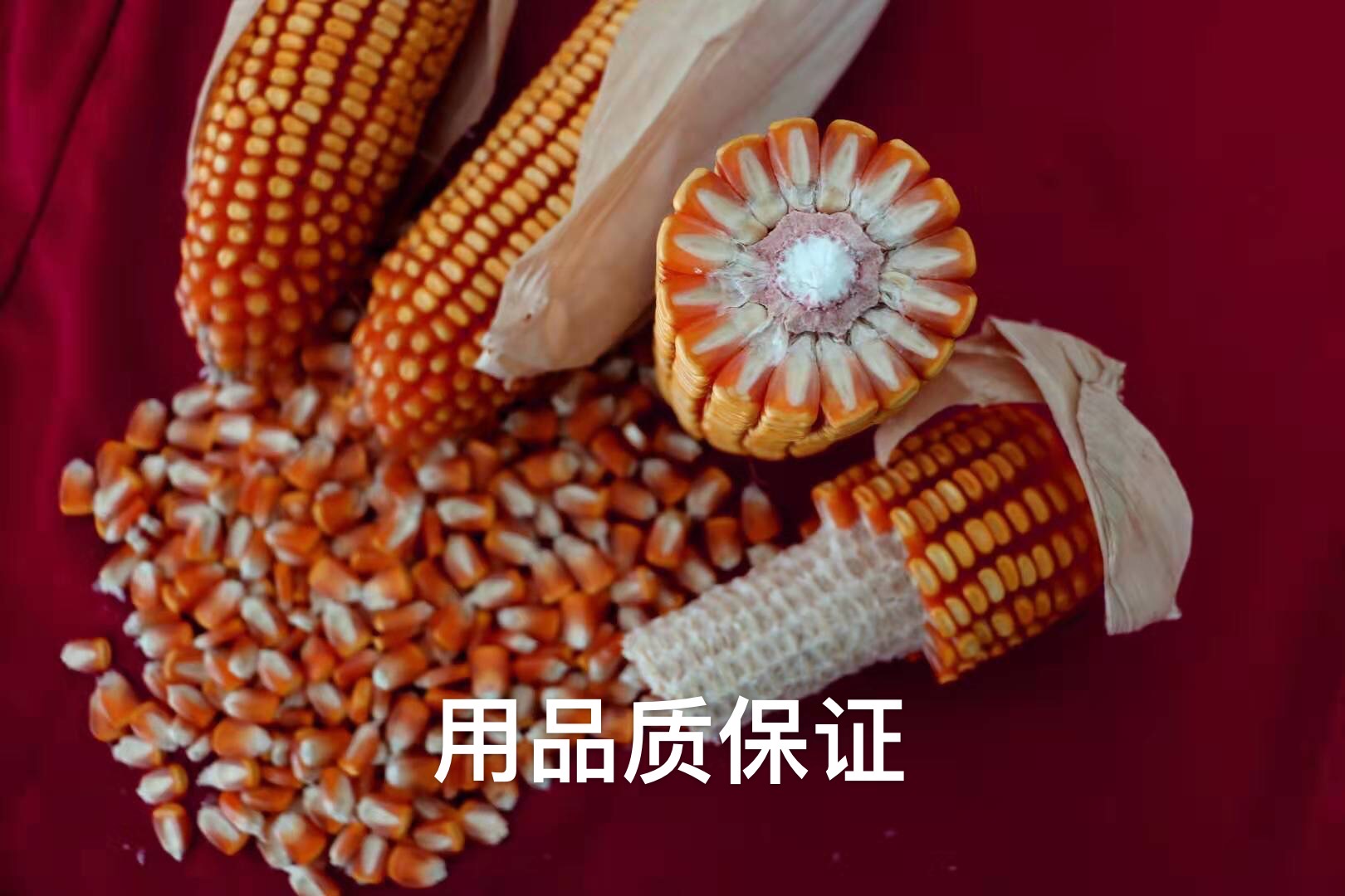 1594866790582650.jpg 1594866790582650.jpg